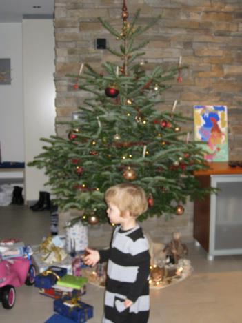Weihnachten 007.jpg   24kb   26.03.2021 22:41:52